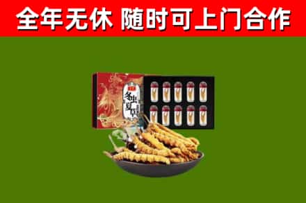 琼海回收冬虫夏草价格
