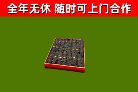 琼海回收海参